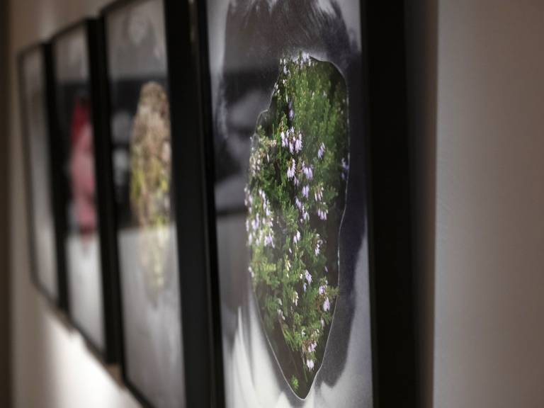 The Portrait of my grandmother Assne by Katinka Goldberg